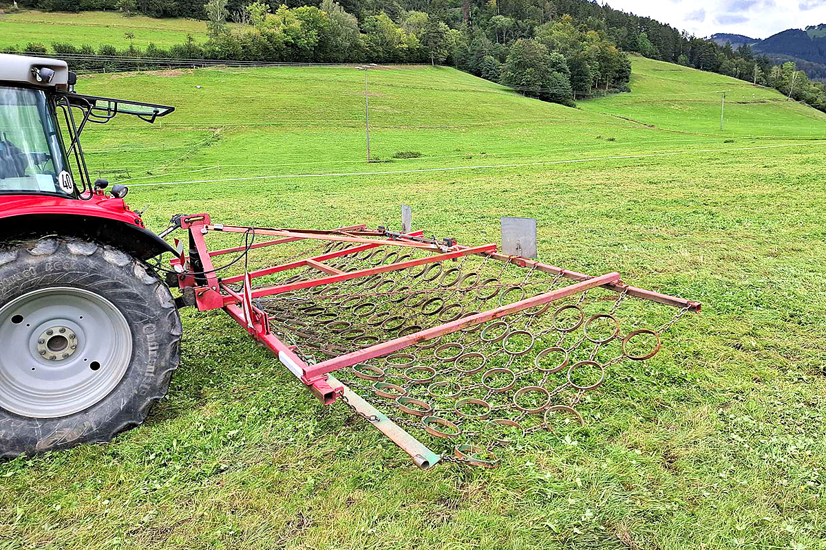 Wiesenschleppe