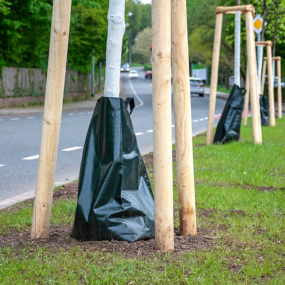 Bewaesserung_Baum